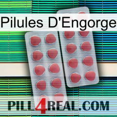 Engorge Pills 19